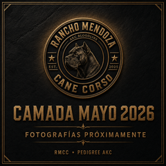 Collection image for: Camada Mayo 2026