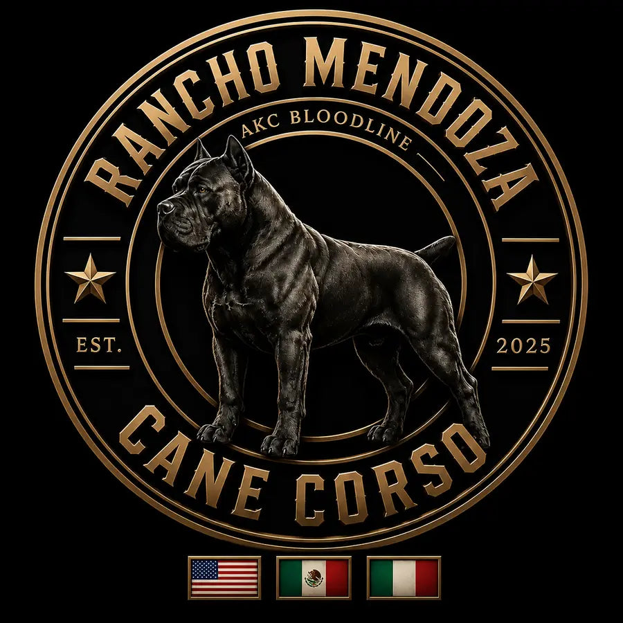 Rancho Mendoza Cane Corso
