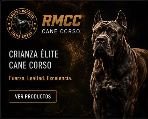 RMCC Cane Corso: crianza élite